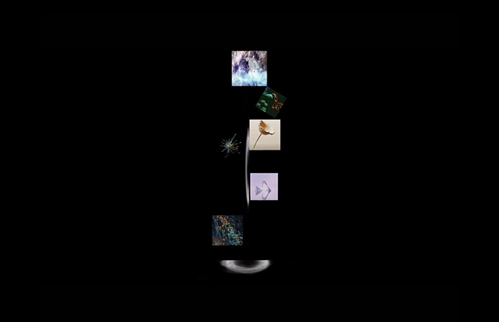 1640675058903986.jpeg 截屏2021-12-23 下午3.36.27.jpeg