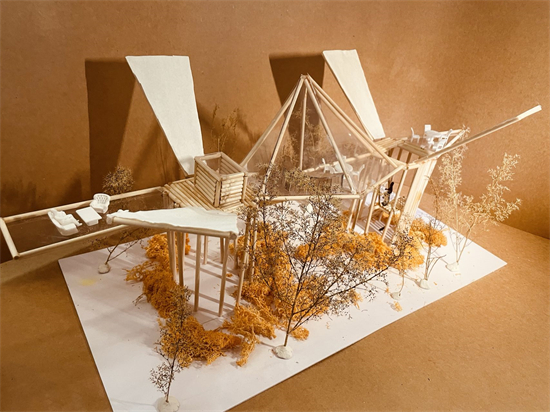 1642036187676856.jpg 常林 杨丁翾模型作品.jpg